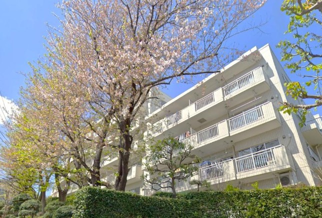 東寺尾ヒルズ８４